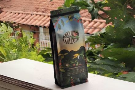 diseño sin título (10)